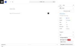 Page screenshot: Add Post &lsaquo; Test site &mdash; WordPress