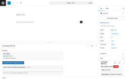 Page screenshot: Add Post &lsaquo; Test site &mdash; WordPress