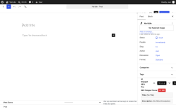 Page screenshot: Add Post &lsaquo; Test site &mdash; WordPress