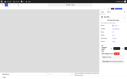 Page screenshot: Add Page &lsaquo; Test site &mdash; WordPress