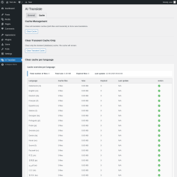 Page screenshot: AI Translate → Cache