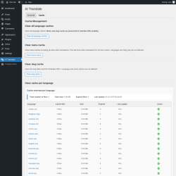 Page screenshot: AI Translate &rarr; Cache
