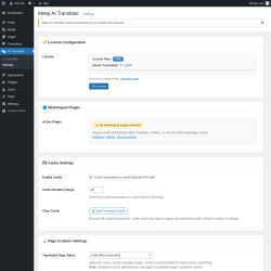 Page screenshot: AI Translator &rarr; Settings