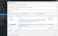 Page screenshot: Plugins &lsaquo; Test site &mdash; WordPress