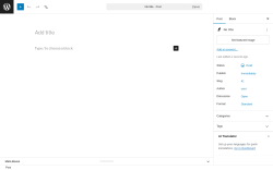 Page screenshot: Add Post &lsaquo; Test site &mdash; WordPress