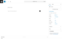 Page screenshot: Add Post &lsaquo; Test site &mdash; WordPress