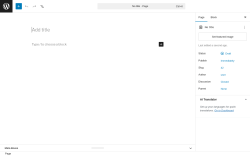 Page screenshot: Add Page &lsaquo; Test site &mdash; WordPress