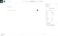 Page screenshot: Add Page &lsaquo; Test site &mdash; WordPress