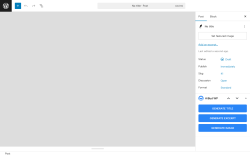 Page screenshot: Add Post ‹ Test site — WordPress