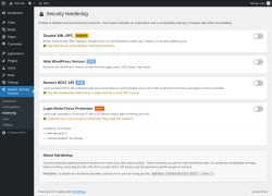 Page screenshot: Aipatch Security Scanner &rarr; Hardening
