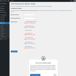Page screenshot: Bluesky Posts Options ‹ Test site — WordPress