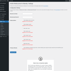 Page screenshot: Bluesky Posts Options ‹ Test site — WordPress