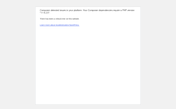 Page screenshot: WordPress &rsaquo; Error
