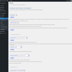 Page screenshot: wpjsloader &lsaquo; Test site &mdash; WordPress