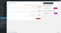 Page screenshot: Ajax Search Lite → Performance options