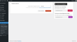 Page screenshot: Ajax Search Lite &rarr; Analytics Integration