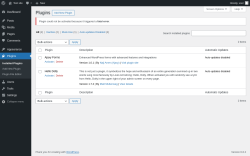 Page screenshot: Plugins &lsaquo; Test site &mdash; WordPress