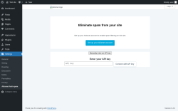 Page screenshot: Akismet Anti-spam &lsaquo; Test site &mdash; WordPress