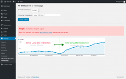 Page screenshot: Settings &rarr; All 404 Redirect to Homepage