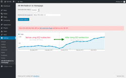 Page screenshot: Settings  &rarr; All 404 Redirect to Homepage