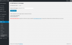 Page screenshot: Settings &rarr; All 404 Redirect to Homepage