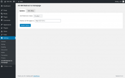 Page screenshot: Settings &rarr; All 404 Redirect to Homepage