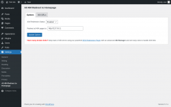 Page screenshot: Settings &rarr; All 404 Redirect to Homepage