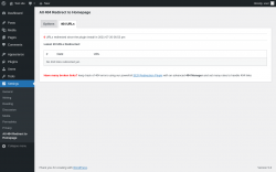 Page screenshot: Settings &rarr; All 404 Redirect to Homepage &rarr; 404 URLs