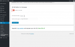 Page screenshot: Settings &rarr; All 404 Redirect to Homepage