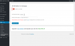 Page screenshot: Settings &rarr; All 404 Redirect to Homepage