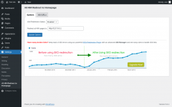 Page screenshot: Settings &rarr; All 404 Redirect to Homepage