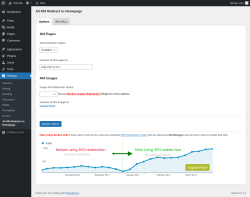 Page screenshot: Settings &rarr; All 404 Redirect to Homepage