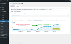 Page screenshot: Settings &rarr; All 404 Redirect to Homepage &rarr; 404 URLs