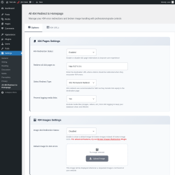 Page screenshot: Settings → All 404 Redirect to Homepage