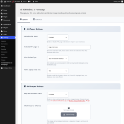 Page screenshot: Settings &rarr; All 404 Redirect to Homepage