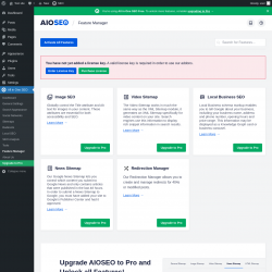 Page screenshot: All in One SEO → Feature Manager