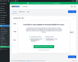 Page screenshot: All in One SEO → Local SEO