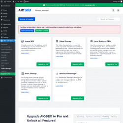 Page screenshot: All in One SEO → Feature Manager