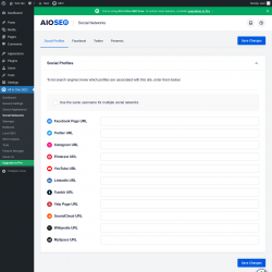 Page screenshot: All in One SEO → Social Networks