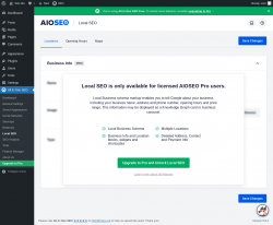 Page screenshot: All in One SEO → Local SEO