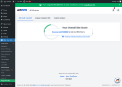 Page screenshot: All in One SEO → SEO Analysis