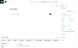 Page screenshot: Add Post ‹ Test site — WordPress