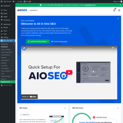 Page screenshot: All in One SEO → Dashboard