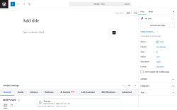 Page screenshot: Add Post ‹ Test site — WordPress