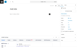 Page screenshot: Add Post ‹ Test site — WordPress