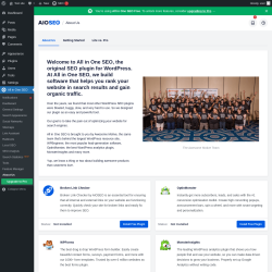 Page screenshot: All in One SEO → About Us