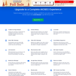 Page screenshot: All in One SEO → Upgrade to Pro