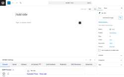 Page screenshot: Add Post ‹ Test site — WordPress