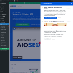 Page screenshot: All in One SEO