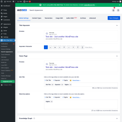 Page screenshot: All in One SEO → Search Appearance